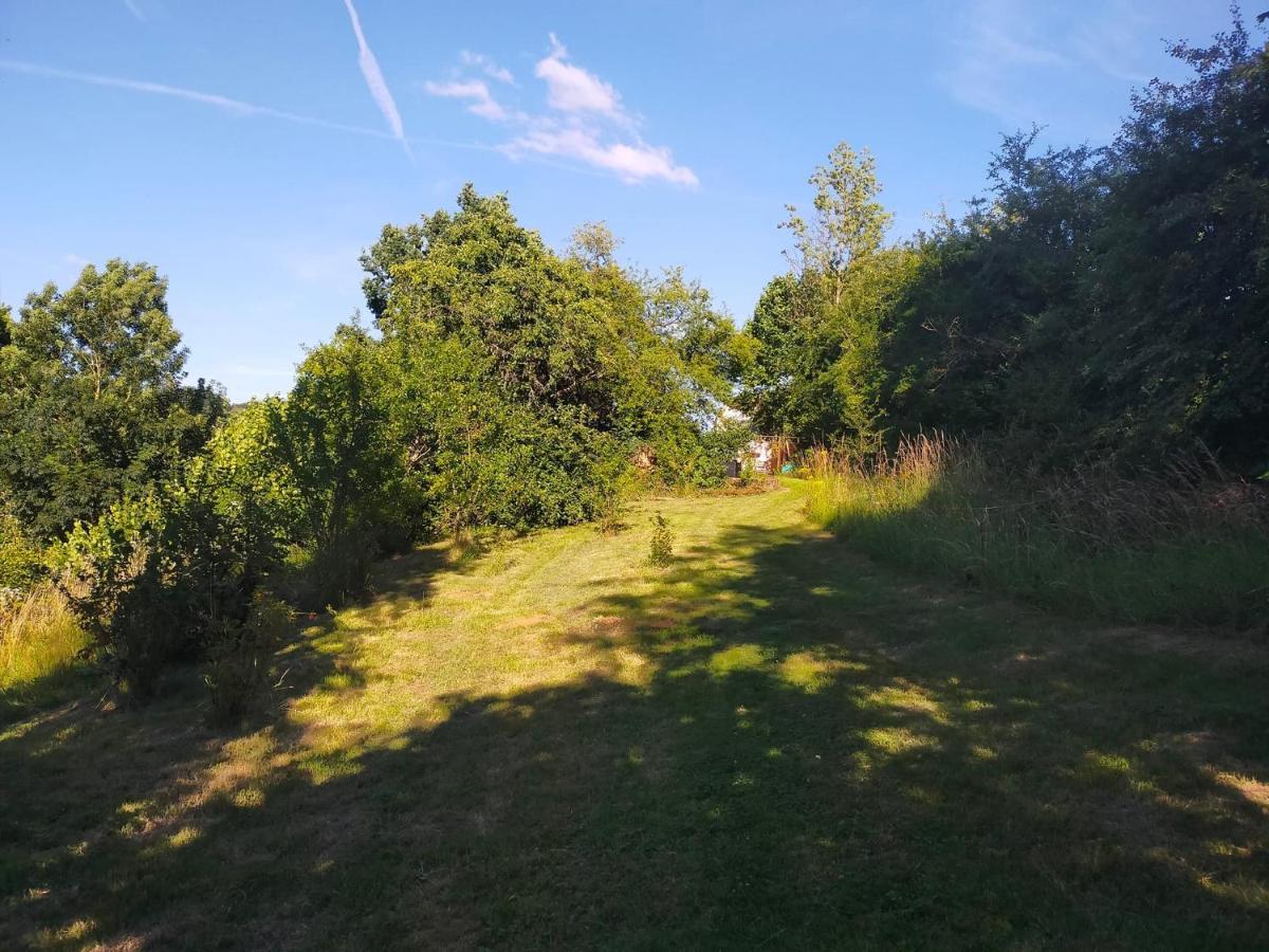 Tiny Messancy, Une Immersion Dans La Nature ! Exteriör bild